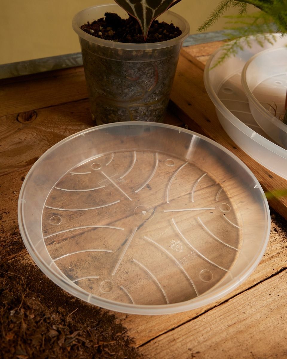 Plant Saucer Transparent Ø 21 cm