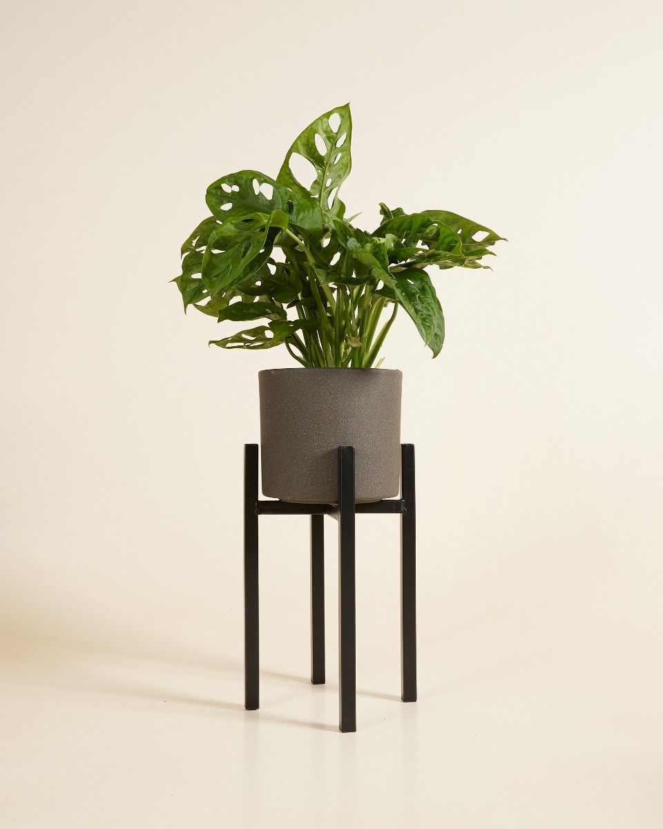 Support de Pot Paula  Noir 25 cm