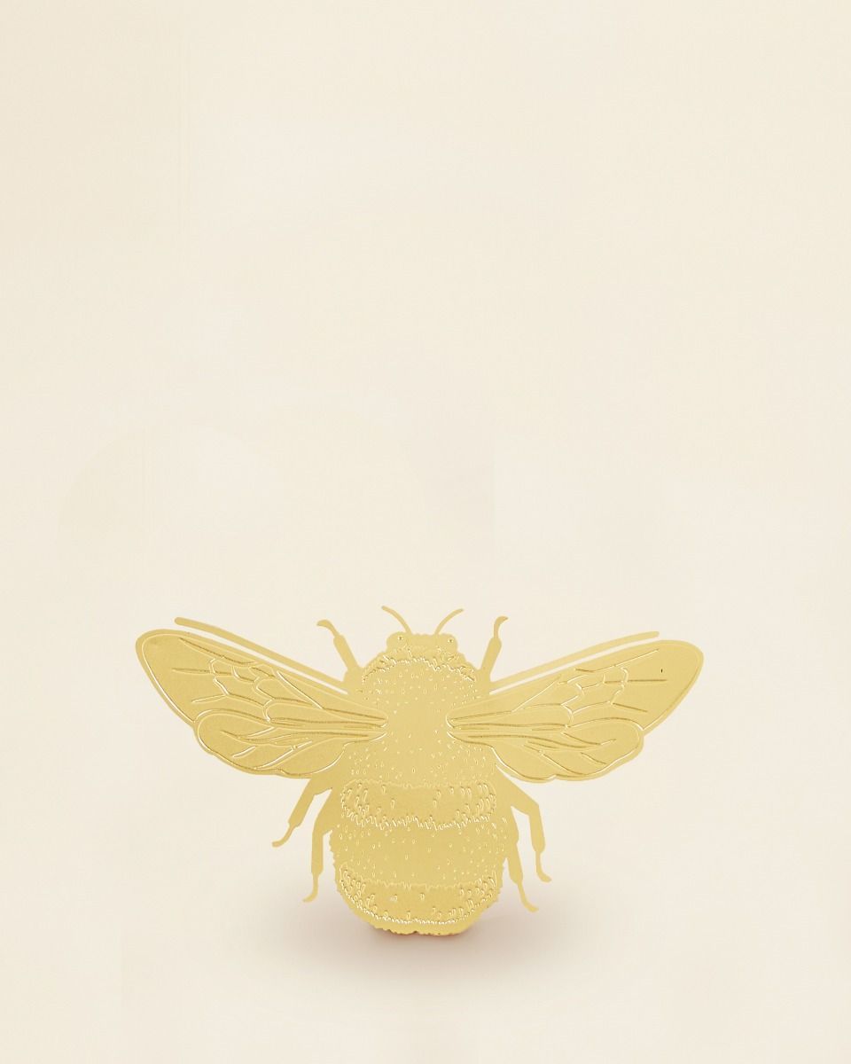 Bowie Bumblebee Plant buddy