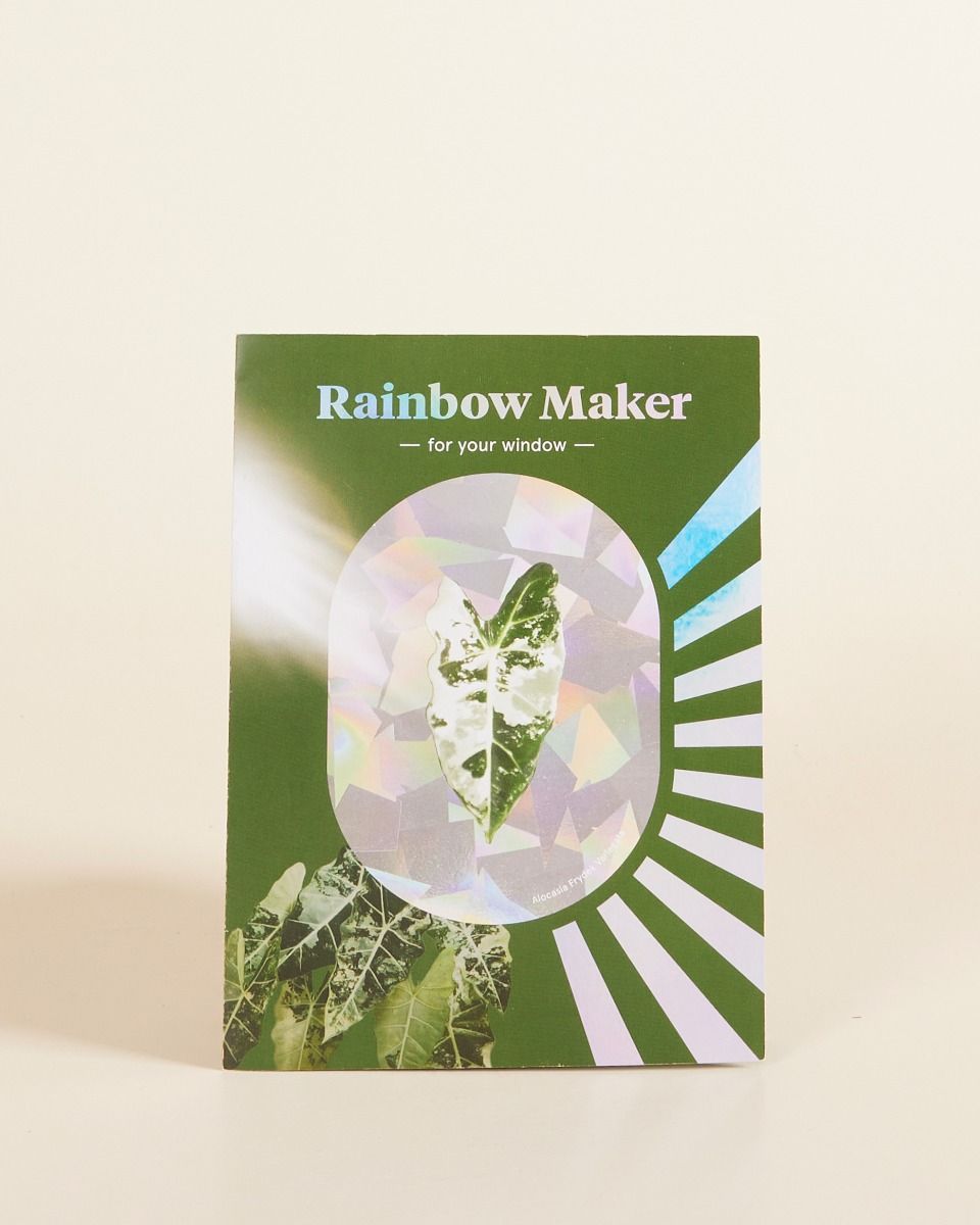 Regenboogmaker Botanopia x Living.Junglee