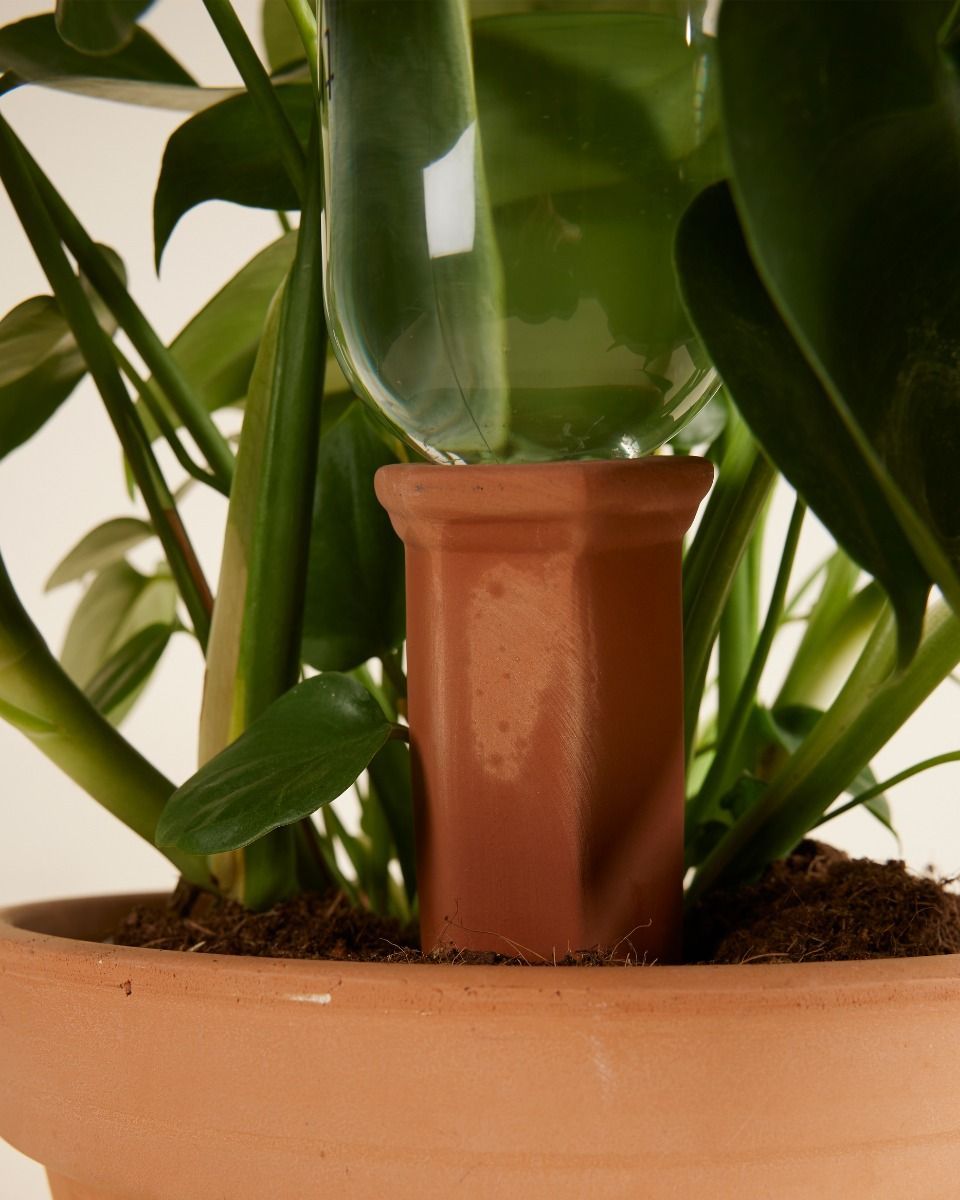 Goutte d'eau en terre cuite Irrigateur de plantes