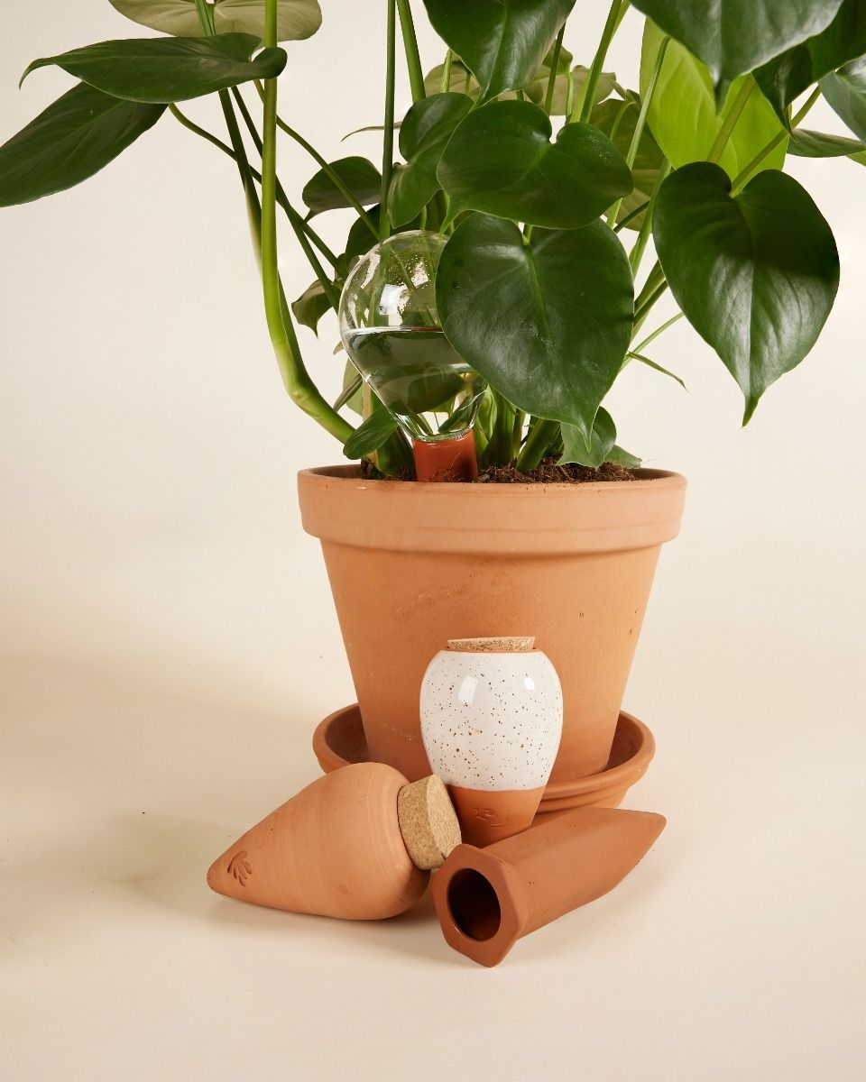 Goutte d'eau en terre cuite Irrigateur de plantes
