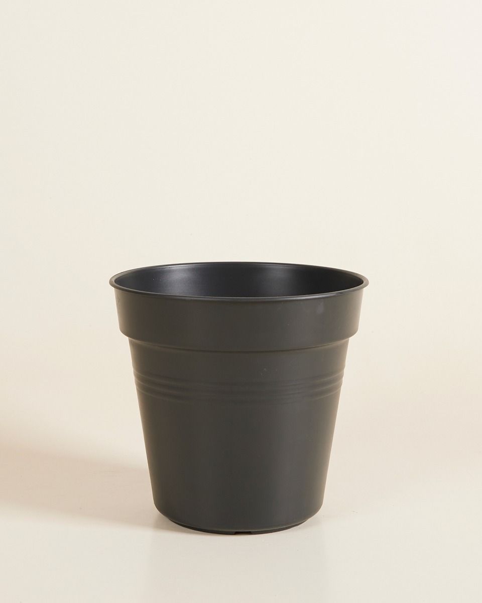 Elho Hagrid Nursery Planter Black Ø 17 cm