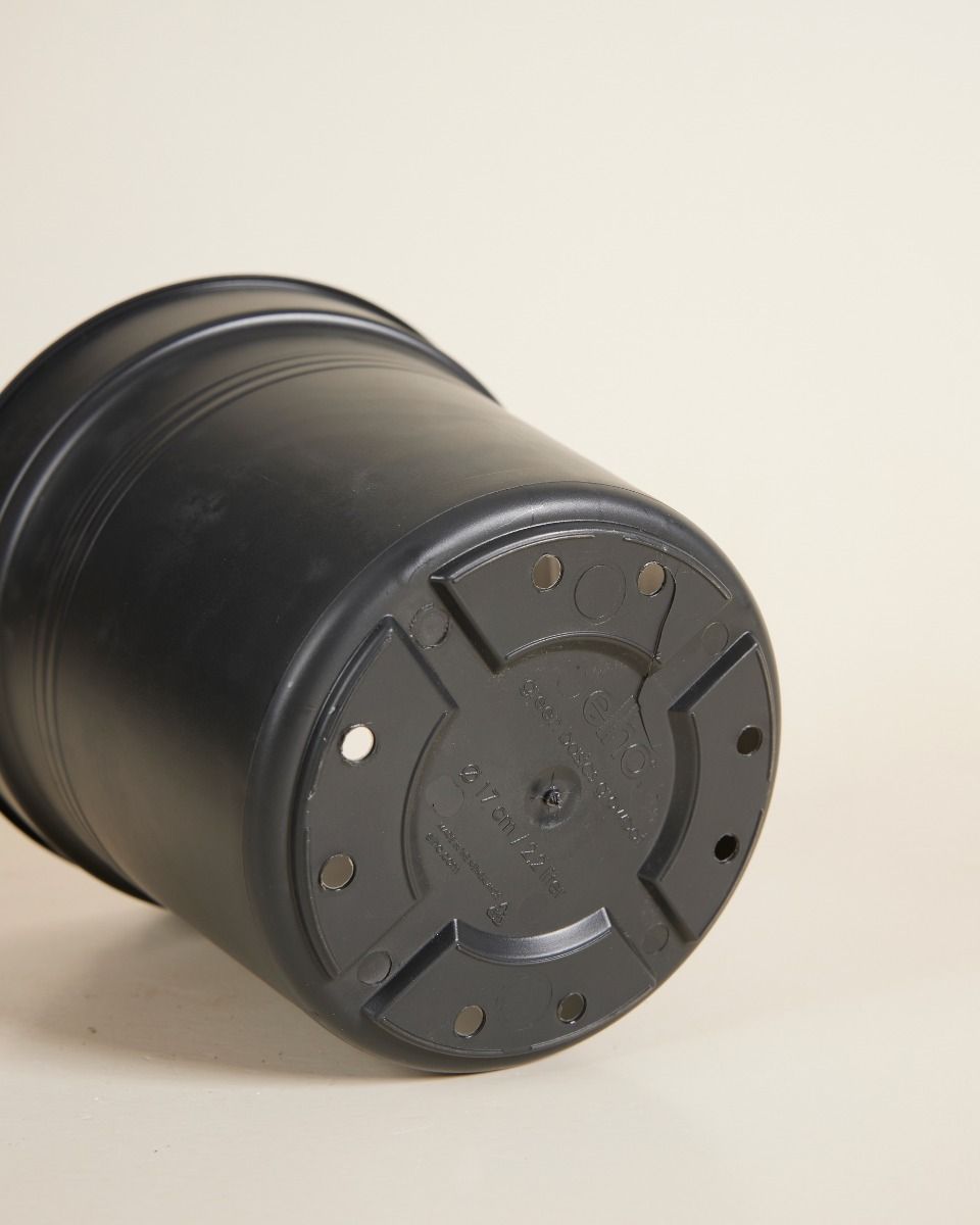 Elho Hagrid Pot De Culture Noir Ø 17 cm