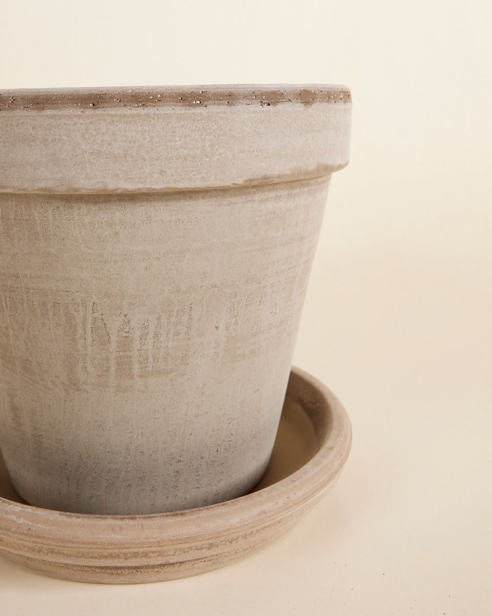 Grau Terrakotta Topf Ø 22 cm