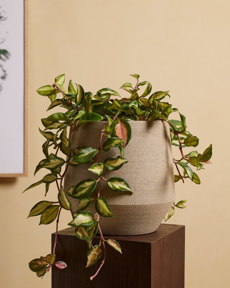 Hubert Pot Taupe  Ø 19 cm