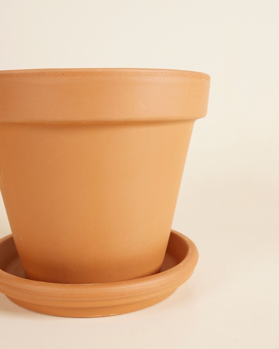 Orange Terrakotta Topf Ø 20 cm