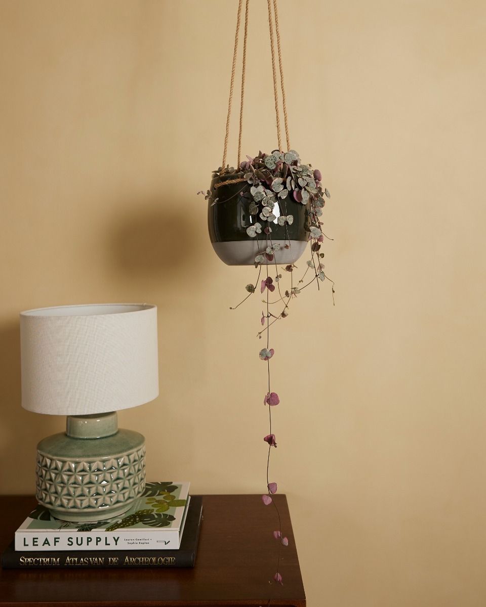 Nea Hanging Pot Grey Ø 13 cm