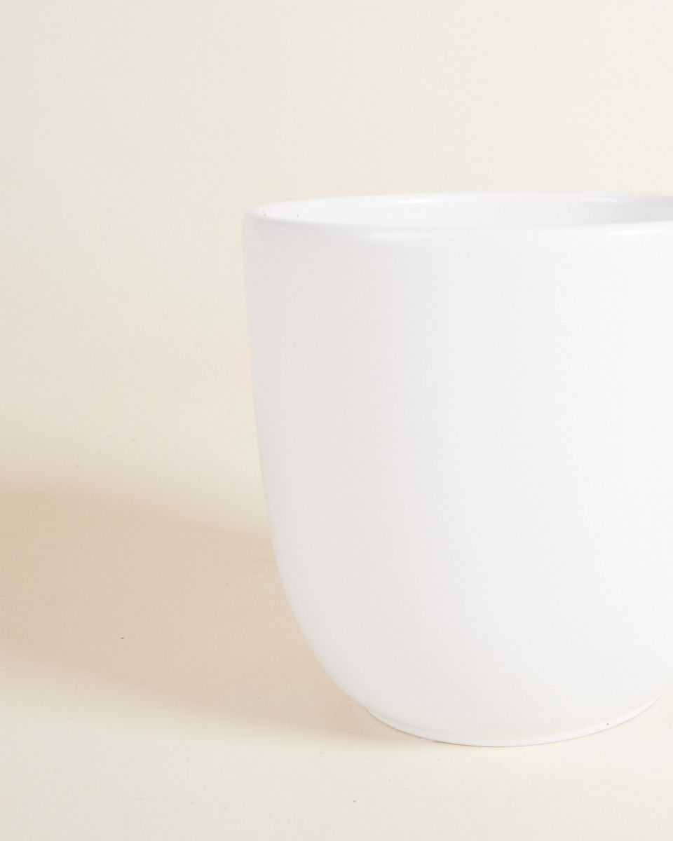 Lexi Pot Wit Ø 12.5 cm