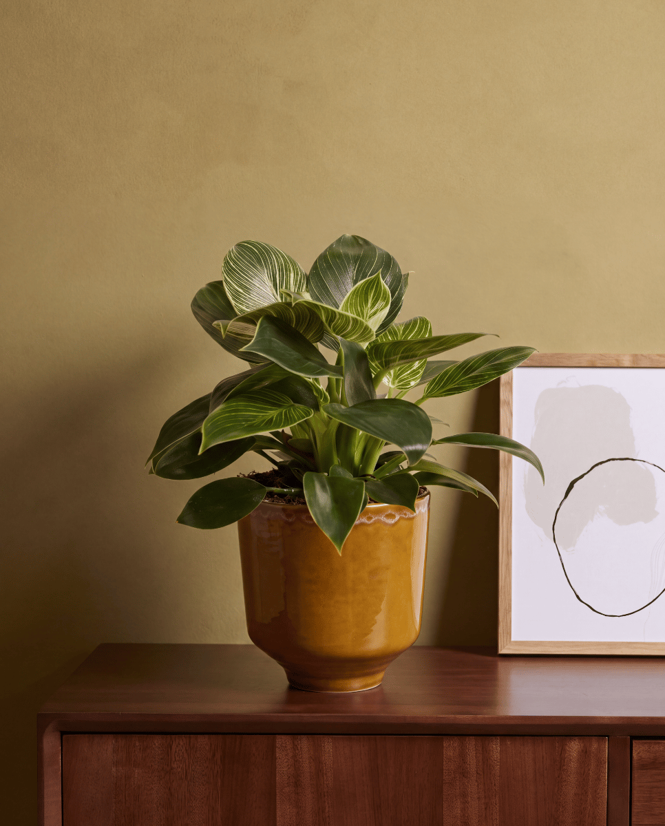 Otis Pot Oker Ø 13 cm