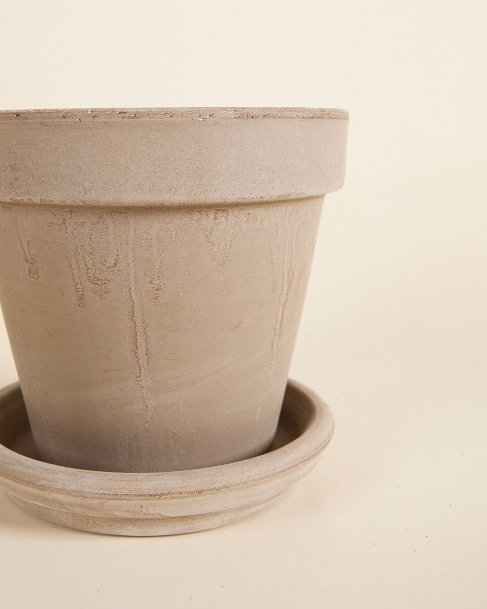 Pot en terre cuite Gris Ø 16 cm