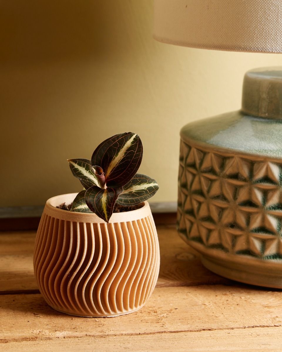 Baby Robin Wood Pot Swirl Ø 5.5 cm