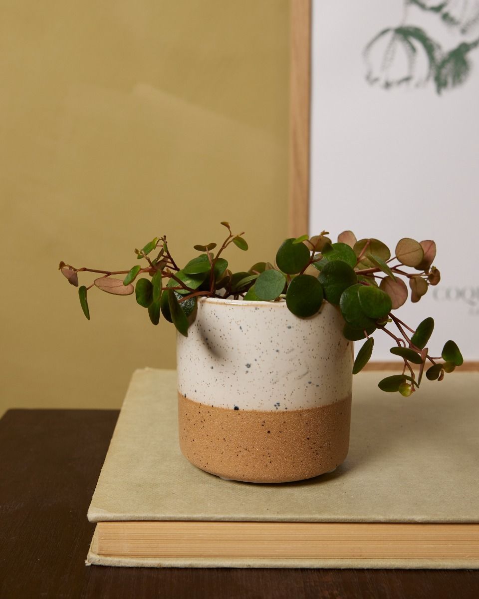 Bébé Ava Pot Blanche Ø 6.5 cm