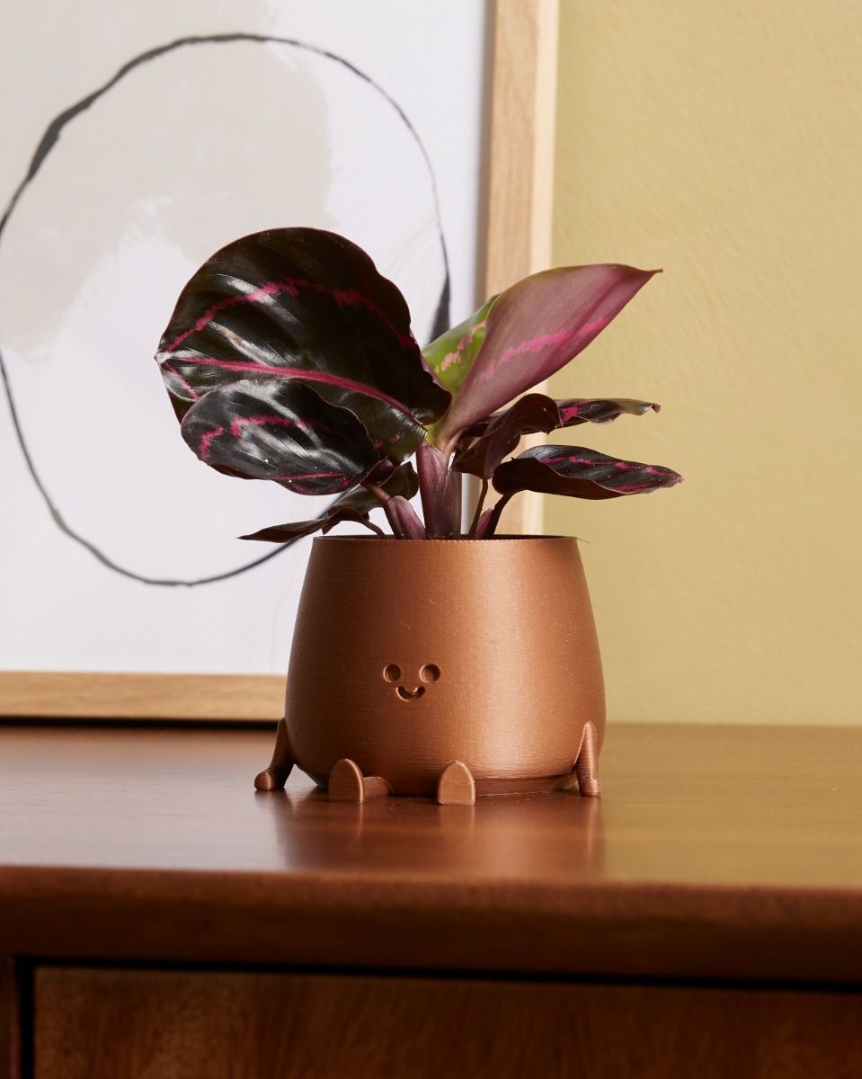 Bébé Happy Harry Pot Cuivre Ø 6 cm