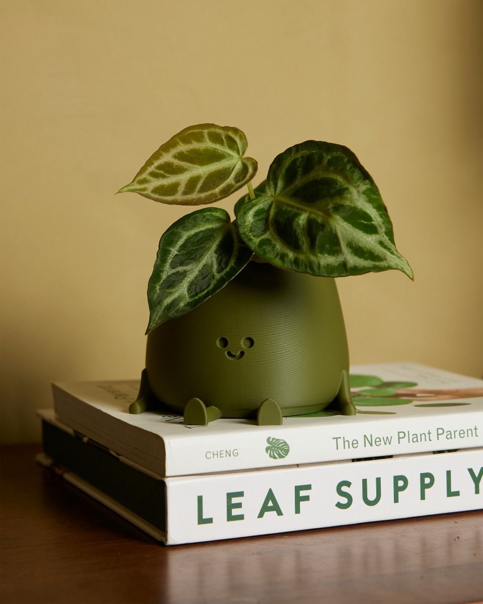 Baby Happy Harry Pot Groen Ø 8 cm