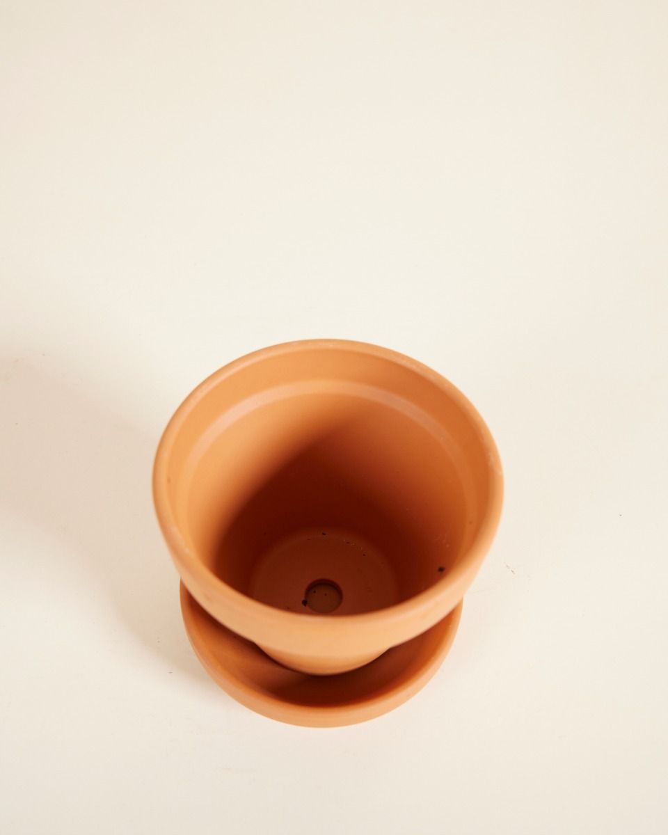 Baby Orange Terracotta Pot Ø 8 cm