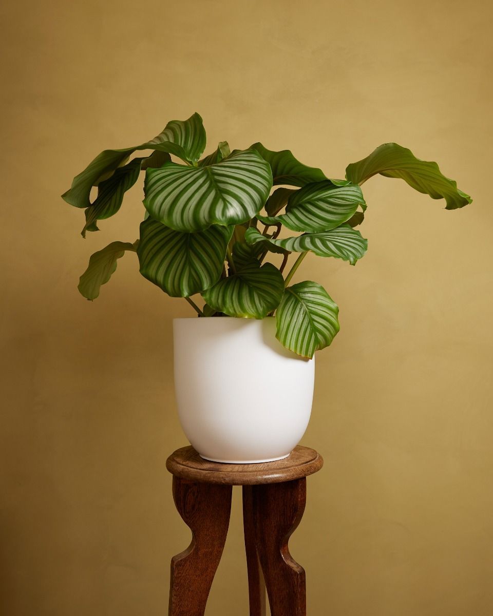 Lexi Pot Ceramic Ø 23 cm