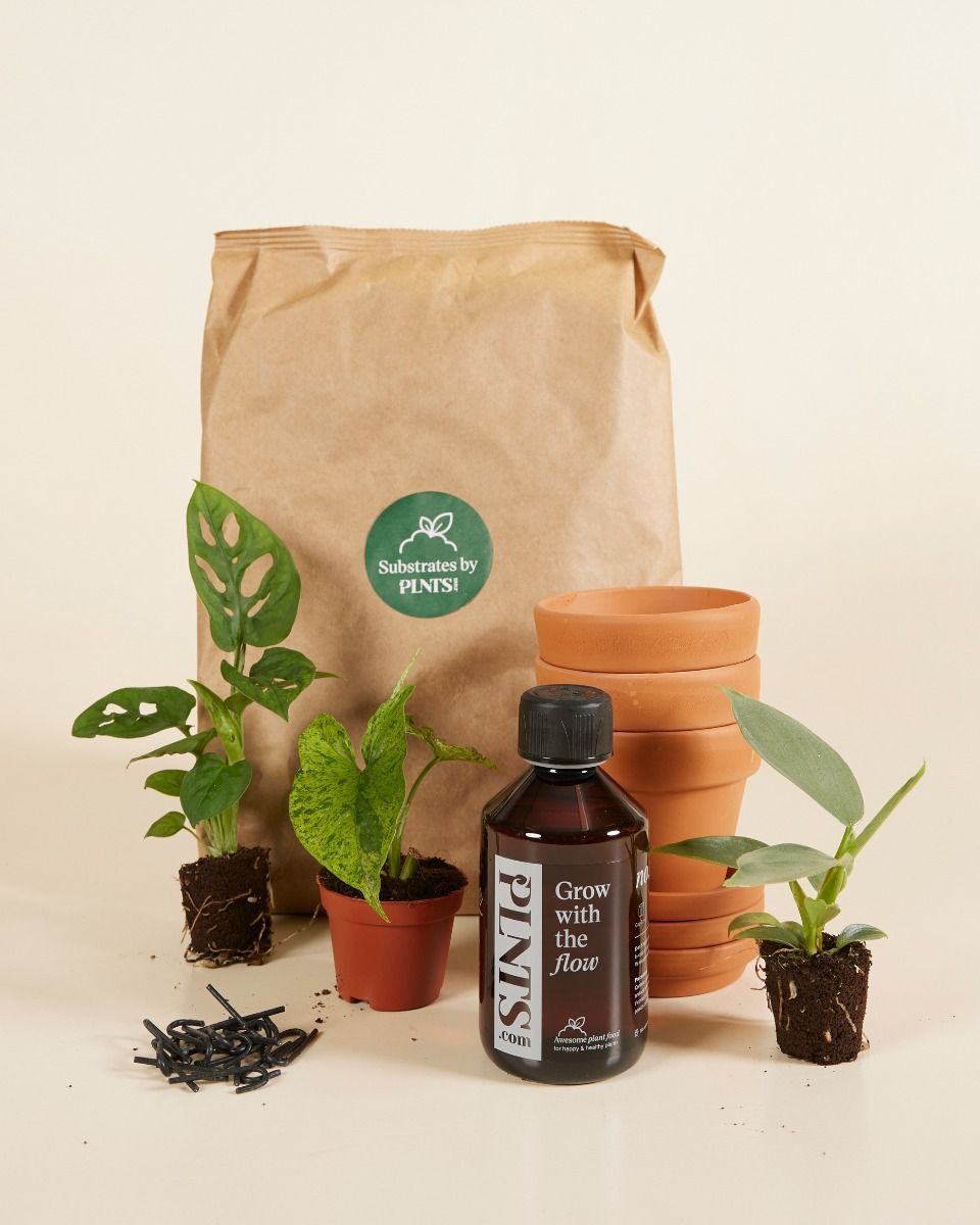 Planthobby Sarterkit 3 Pflanzen Productset