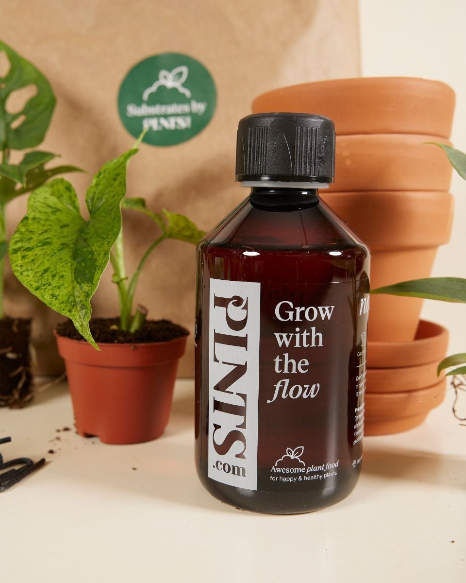 Planthobby Sarterkit 3 Planten Productset