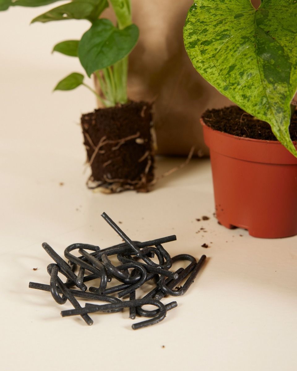 Planthobby Sarterkit 3 Planten Productset