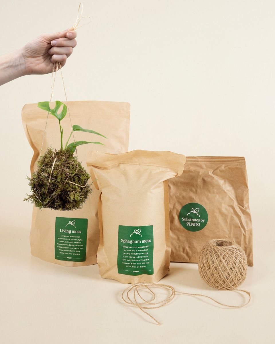 Kokedama-Kit Productset