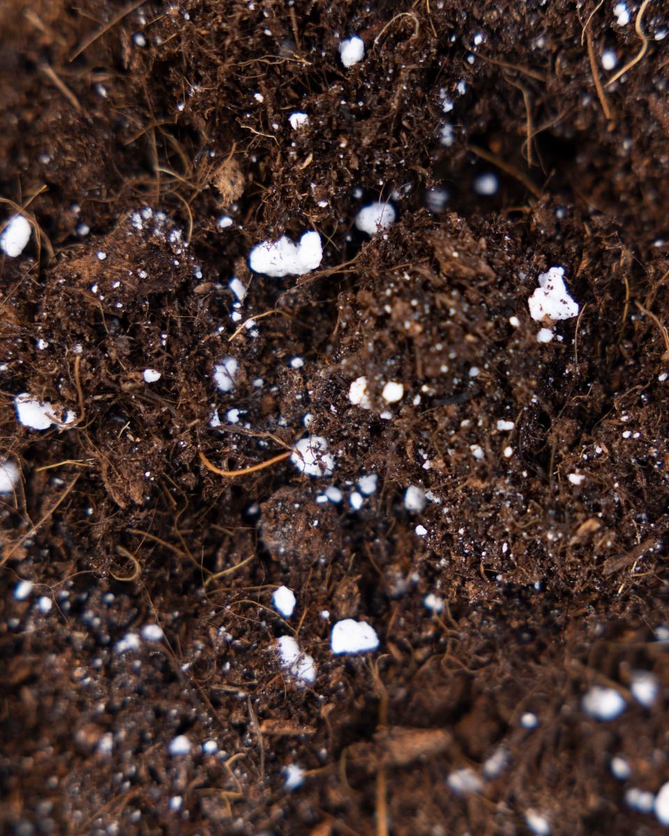 Succulents potting mix kit productset