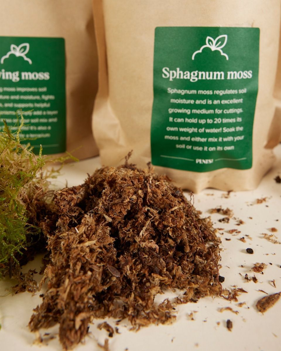 Kokedama Kit Productset