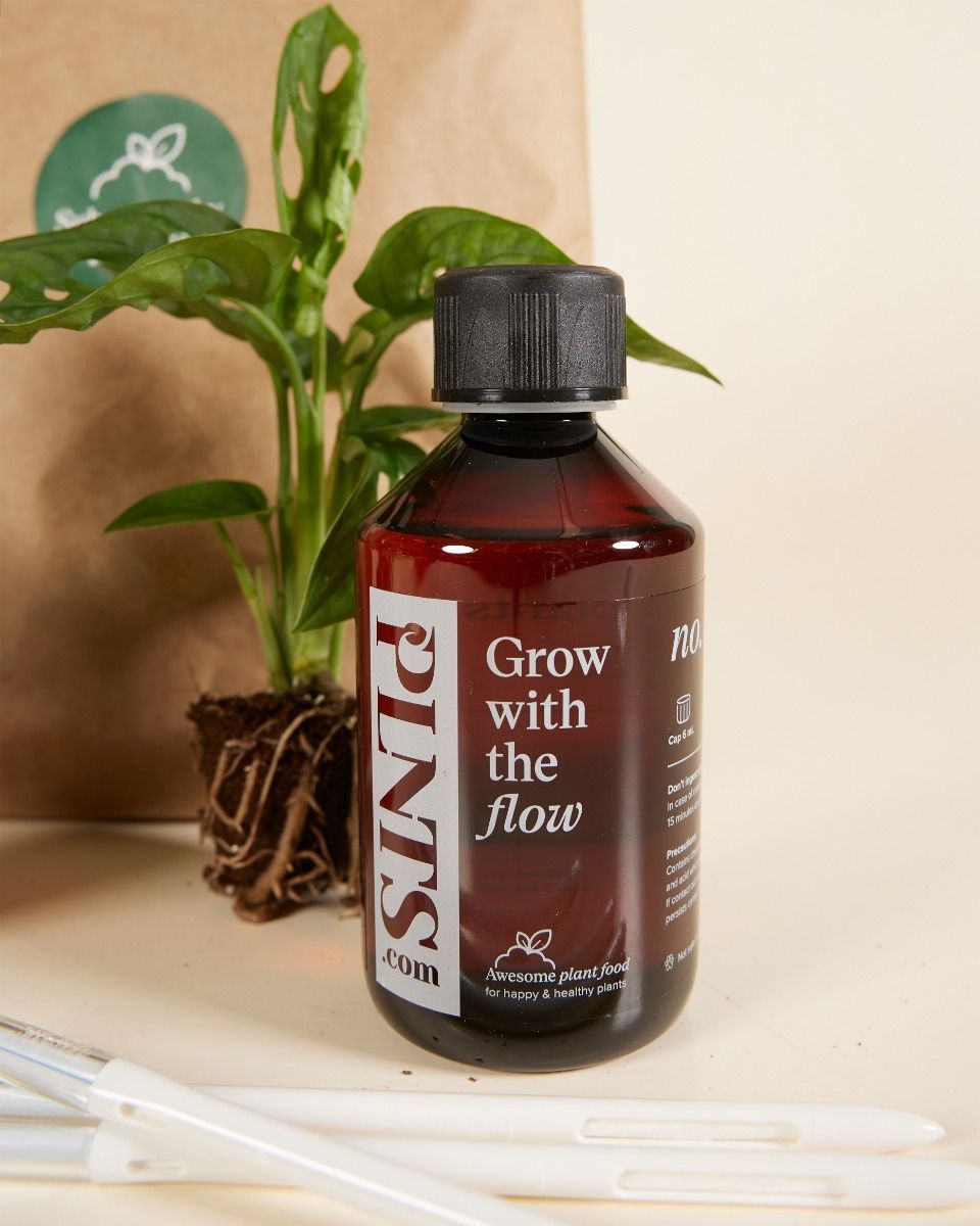 Easy Care Set 3 Planten Productset