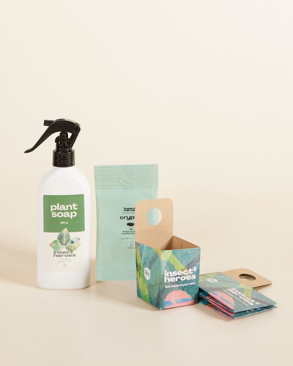  Offerta combinata di controllo dei parassiti: cocciniglie farinose Crypto + Plantsoap