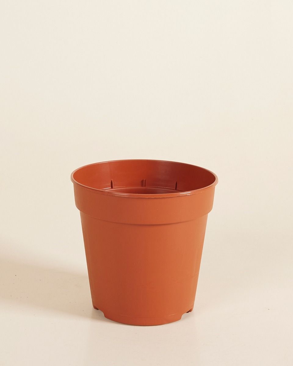 Kweekpot Oranje Ø 12 cm