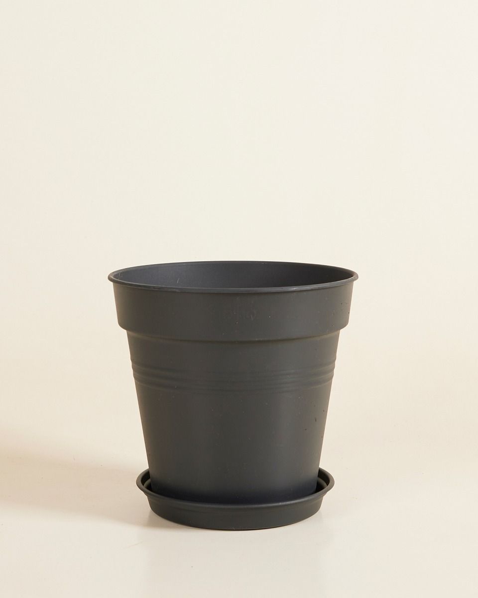 Elho Hagrid Grow Pot Productset