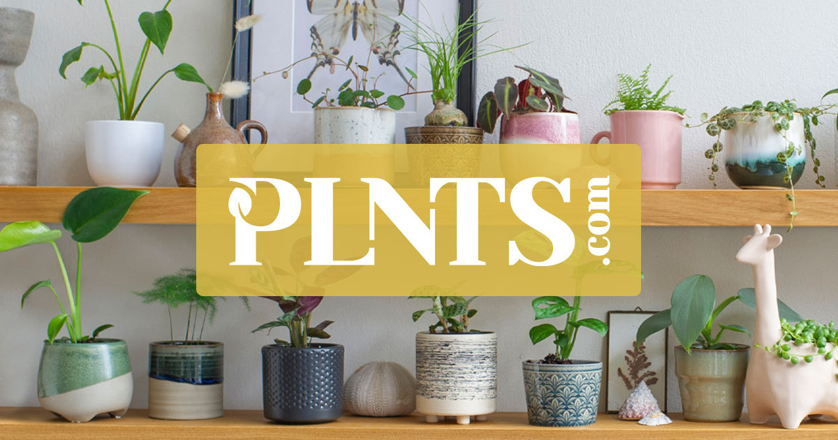 The online shop for all plant-related items